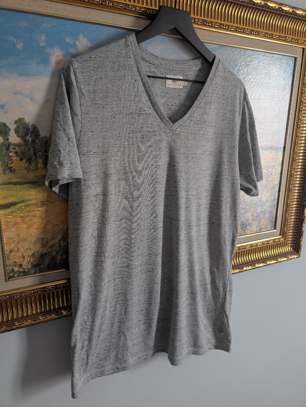 Ag Adriano Goldschmied Men's V-Neck Tee in Heather Gray